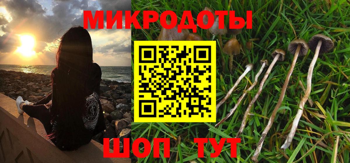 Галлюциногенные грибы Cubensis Саров