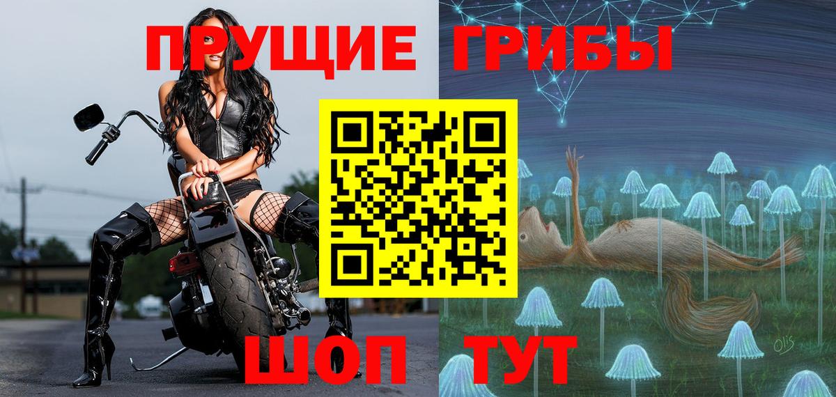 Саров  Псилоцибиновые грибы прущие грибы  Вход с VPN 